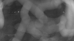 Areál koupaliště Holešov