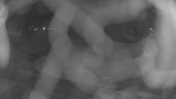 Areál koupaliště Holešov