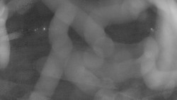 Areál koupaliště Holešov