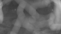 Areál koupaliště Holešov