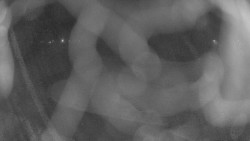 Areál koupaliště Holešov