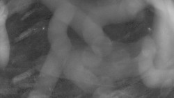 Areál koupaliště Holešov