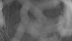 Areál koupaliště Holešov