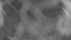 Areál koupaliště Holešov