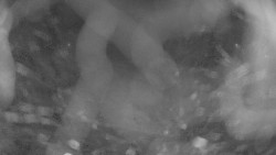 Areál koupaliště Holešov