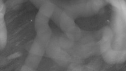 Areál koupaliště Holešov