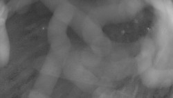 Areál koupaliště Holešov