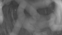 Areál koupaliště Holešov