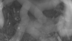 Areál koupaliště Holešov