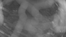 Areál koupaliště Holešov