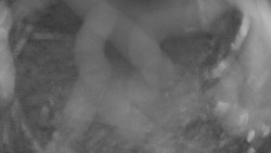 Areál koupaliště Holešov