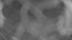 Areál koupaliště Holešov