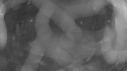 Areál koupaliště Holešov