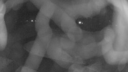 Areál koupaliště Holešov