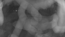 Areál koupaliště Holešov