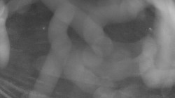 Areál koupaliště Holešov