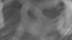 Areál koupaliště Holešov