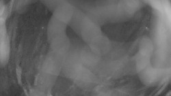 Areál koupaliště Holešov