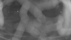 Areál koupaliště Holešov