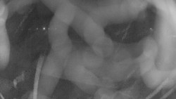 Areál koupaliště Holešov