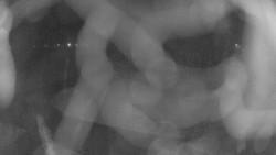 Areál koupaliště Holešov