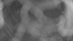 Areál koupaliště Holešov