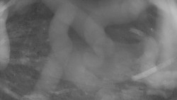 Areál koupaliště Holešov