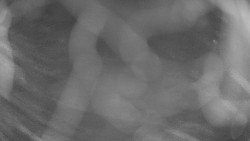 Areál koupaliště Holešov