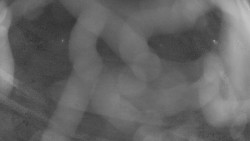 Areál koupaliště Holešov