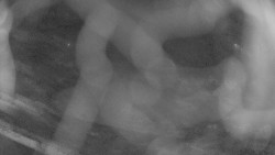 Areál koupaliště Holešov