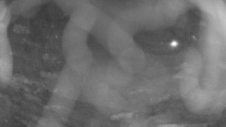 Areál koupaliště Holešov