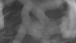 Areál koupaliště Holešov