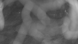 Areál koupaliště Holešov