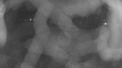 Areál koupaliště Holešov