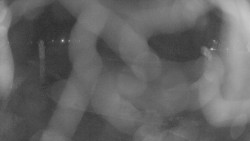 Areál koupaliště Holešov