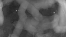 Areál koupaliště Holešov