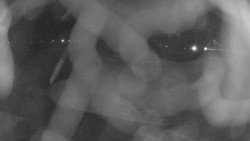 Areál koupaliště Holešov