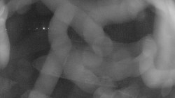 Areál koupaliště Holešov