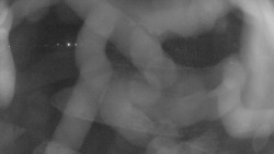 Areál koupaliště Holešov