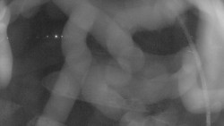 Areál koupaliště Holešov