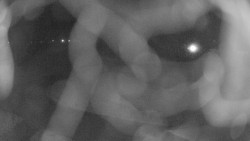 Areál koupaliště Holešov