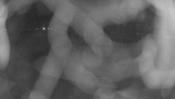 Areál koupaliště Holešov