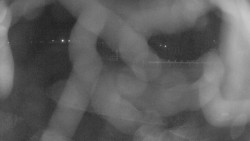 Areál koupaliště Holešov