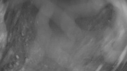 Areál koupaliště Holešov