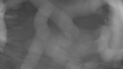 Areál koupaliště Holešov