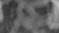 Areál koupaliště Holešov