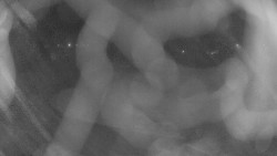 Areál koupaliště Holešov