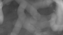 Areál koupaliště Holešov