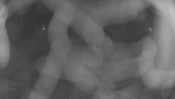 Areál koupaliště Holešov