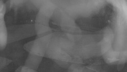 Areál koupaliště Holešov